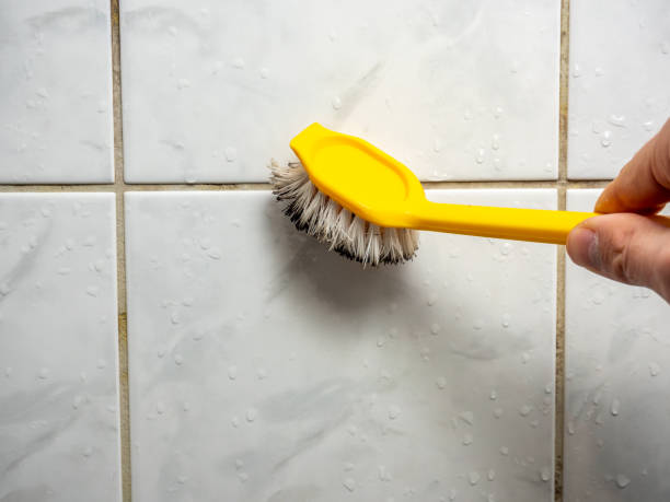Best Residential Mold Remediation in Georgetown, GA